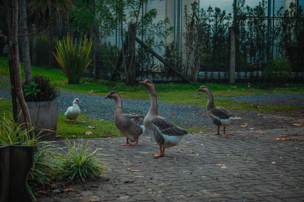 Вилла Gramado Motorpark Экстерьер фото
